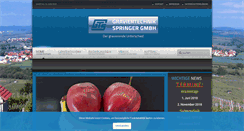 Desktop Screenshot of graviertechnik-springer.de
